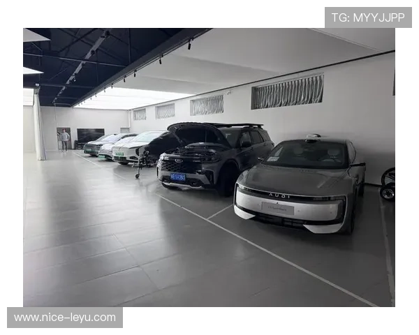 张琳芃家里那车库，比我小区停车场还高级，真是本人没想到啊