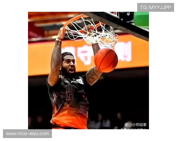 克里斯·波什挡拆拉开空间助热火内线得分结构优化