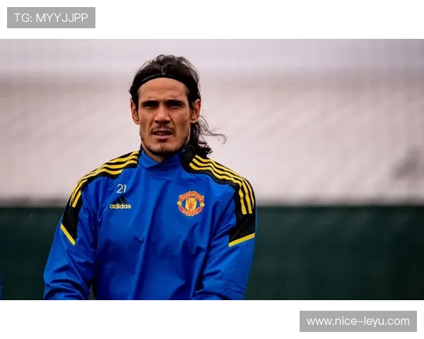 托雷斯与卡瓦尼在进攻分布上转移，展现单点驱动与多点参与趋势